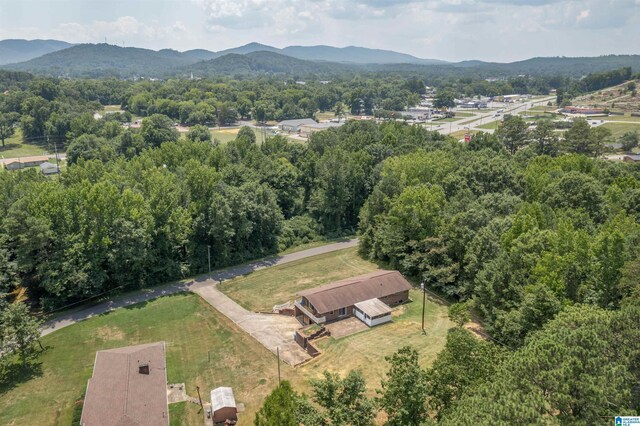 bird's eye view with a mountain view