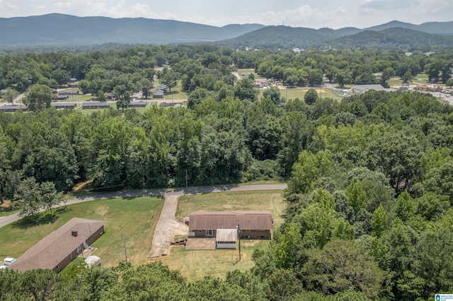 birds eye view of property with a mountain view