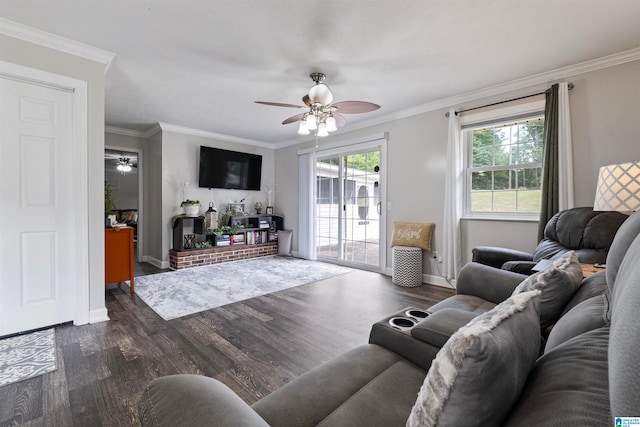 living room with crown molding, dark hardwood / wood-style floors, and ceiling fan