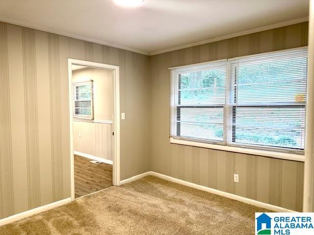 carpeted spare room featuring crown molding