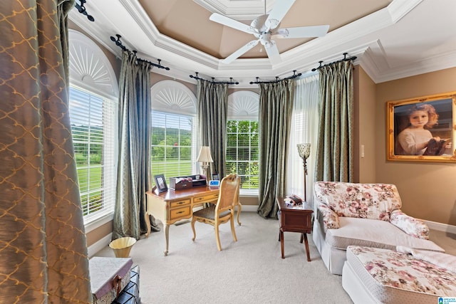 carpeted office space with a tray ceiling, ceiling fan, and ornamental molding