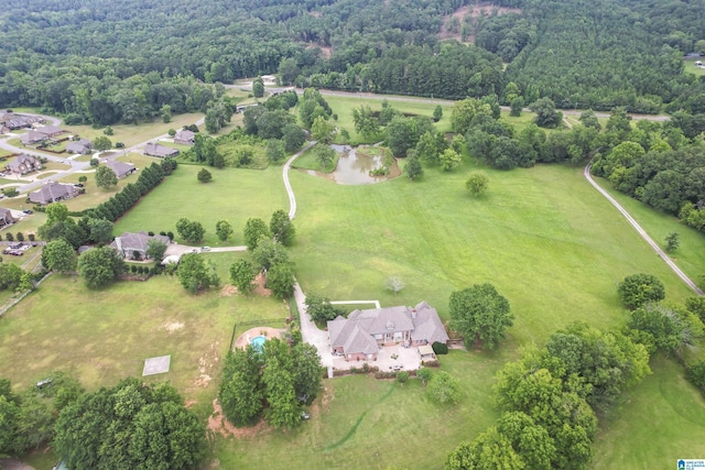 bird's eye view