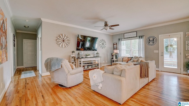 living room with ornamental molding, ceiling fan, and light wood-type flooring