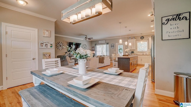 dining area featuring sink, crown molding, light wood-type flooring, and ceiling fan