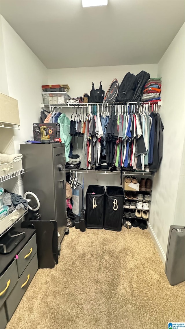 spacious closet featuring carpet