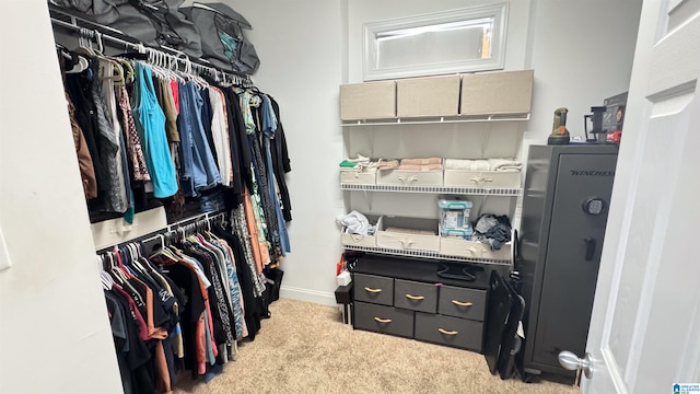 spacious closet with light carpet