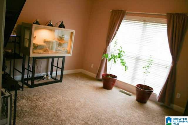 sitting room featuring carpet flooring