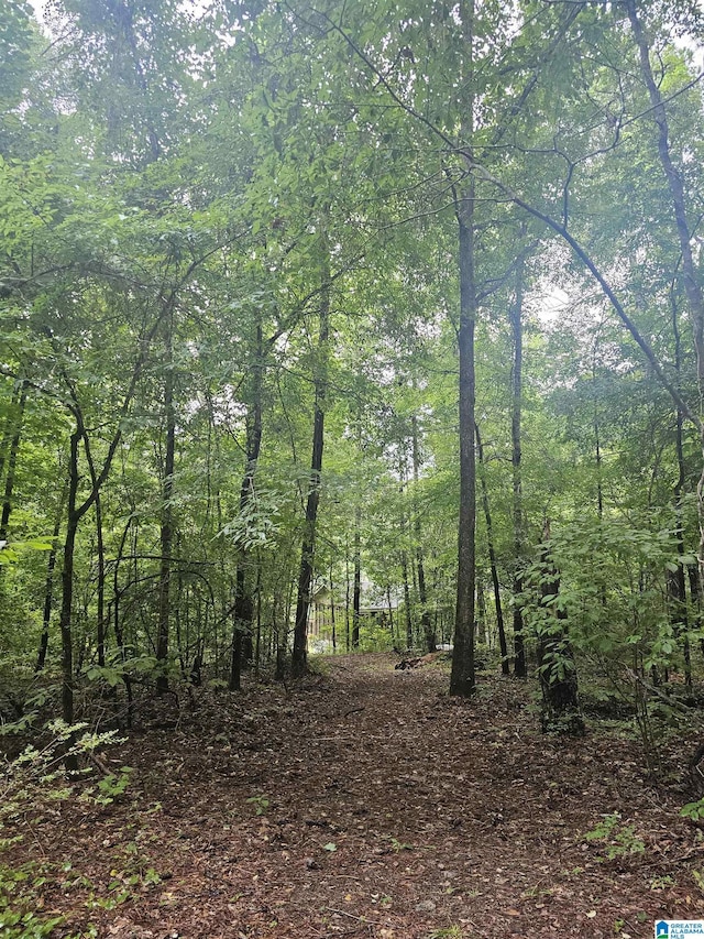 view of local wilderness