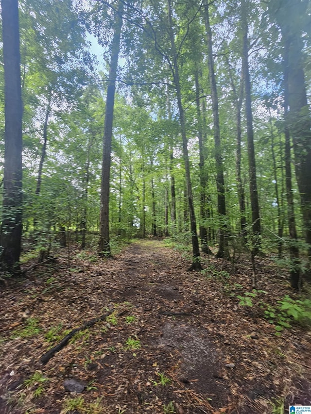 view of local wilderness