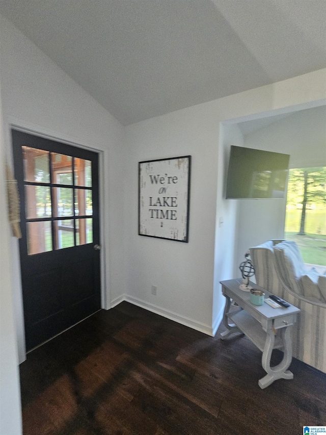 entryway featuring vaulted ceiling and dark hardwood / wood-style flooring