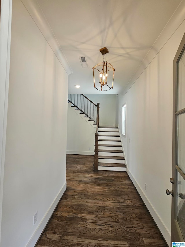 hallway with ornamental molding, a notable chandelier, and dark hardwood / wood-style floors