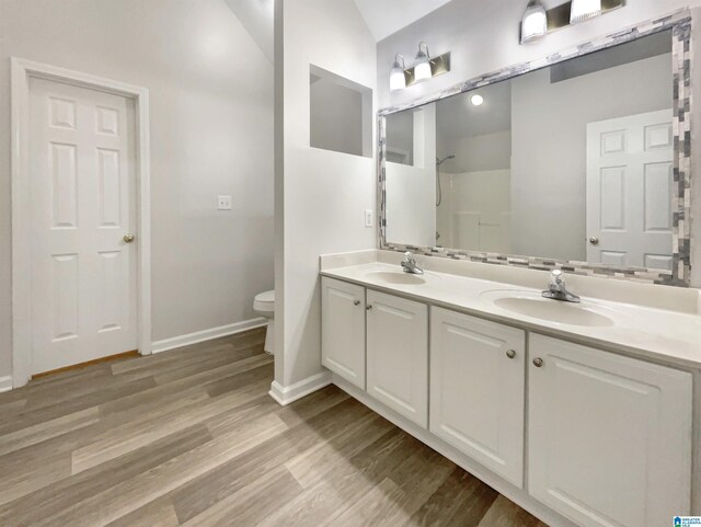 bathroom with hardwood / wood-style floors and vanity