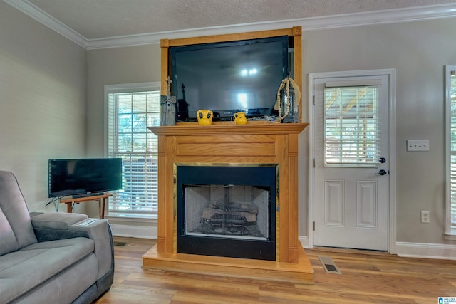 living room with wood-type flooring, ornamental molding, and a textured ceiling