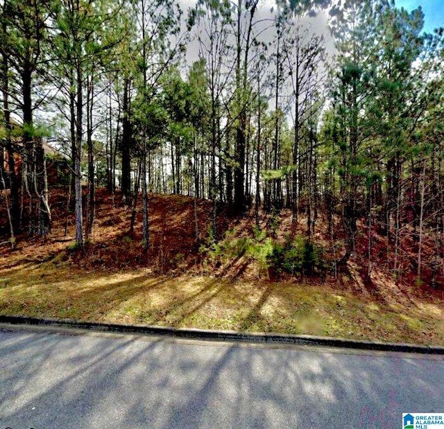 Listing photo 3 for 325 Deer Ridge Ln Unit 29, Chelsea AL 35043