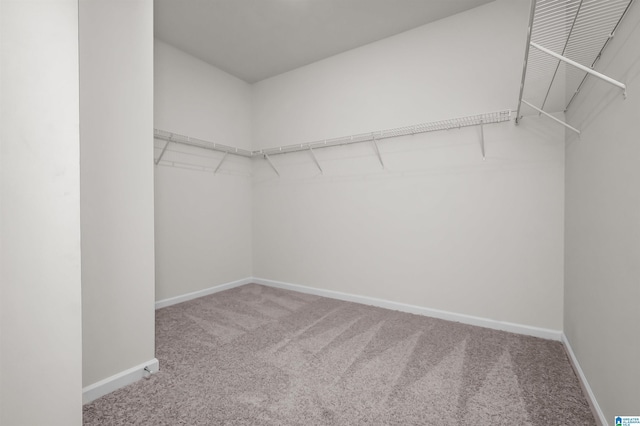 walk in closet featuring carpet