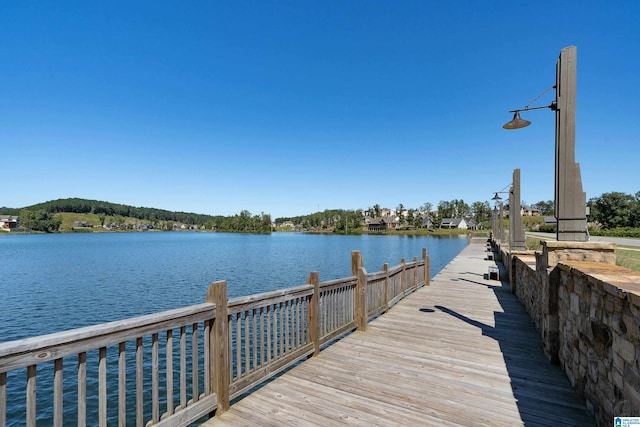 dock area with a water view