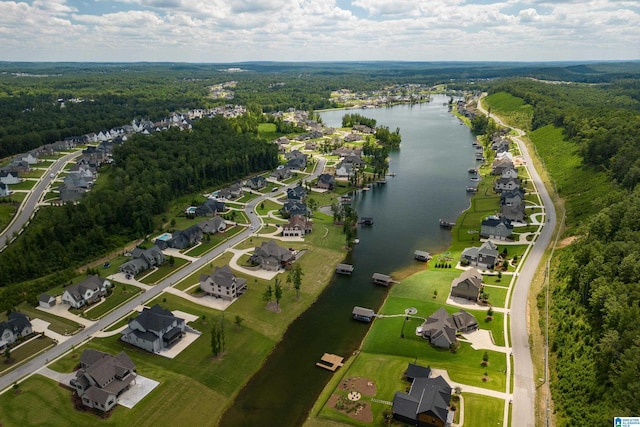 bird's eye view with a water view