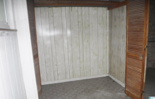 spare room featuring wooden walls and carpet flooring