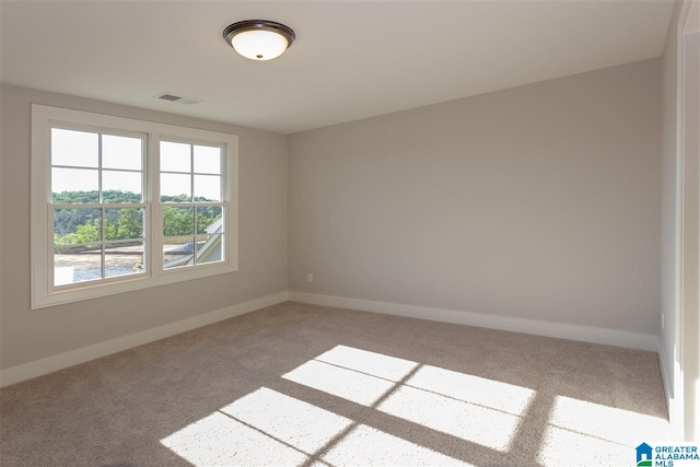 unfurnished room with carpet floors