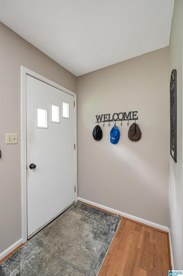 foyer entrance featuring hardwood / wood-style floors