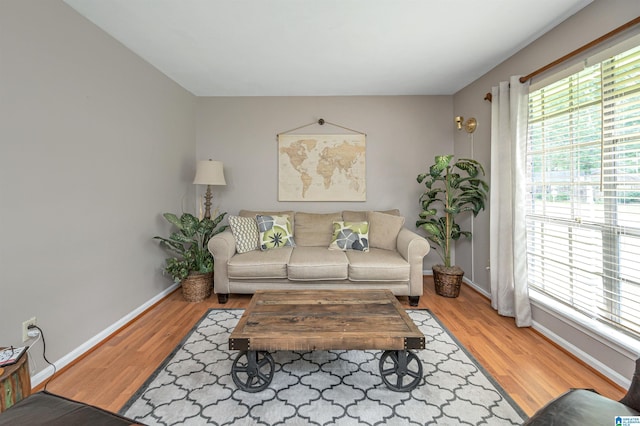 living room with hardwood / wood-style floors