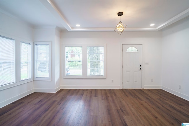 foyer entrance featuring dark wood-type flooring and a tray ceiling