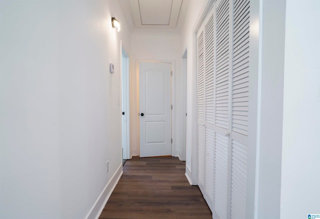 hallway featuring dark hardwood / wood-style floors