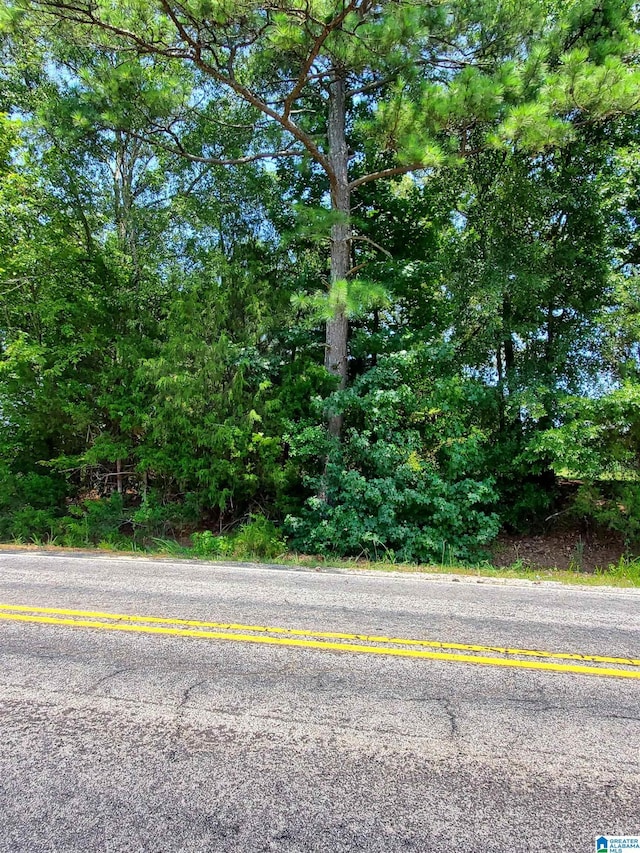 Listing photo 3 for 0 Stemley Rd Unit 1B, Lincoln AL 35160