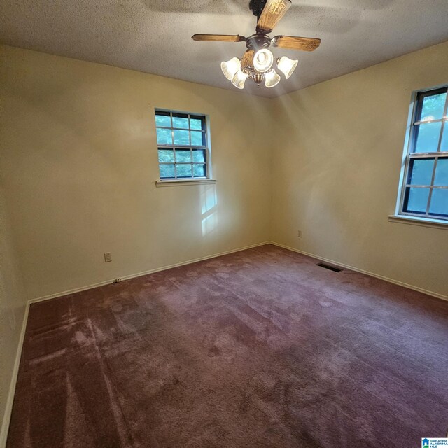 carpeted empty room featuring a textured ceiling, a wealth of natural light, and ceiling fan