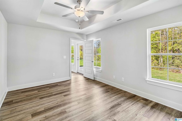 spare room featuring a tray ceiling, dark hardwood / wood-style flooring, and a wealth of natural light