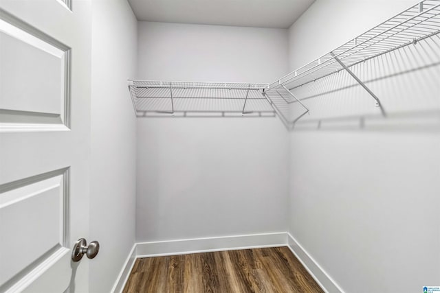 walk in closet with dark wood-type flooring