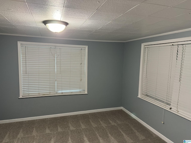 carpeted spare room with ornamental molding