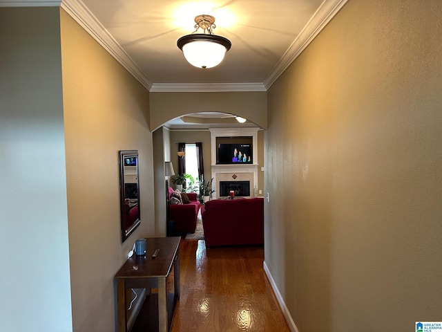 hallway featuring crown molding and dark hardwood / wood-style floors