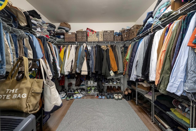 spacious closet with wood-type flooring