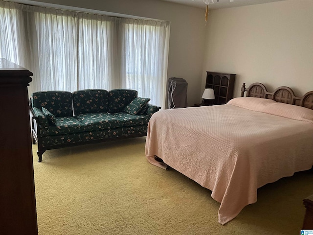 carpeted bedroom with multiple windows