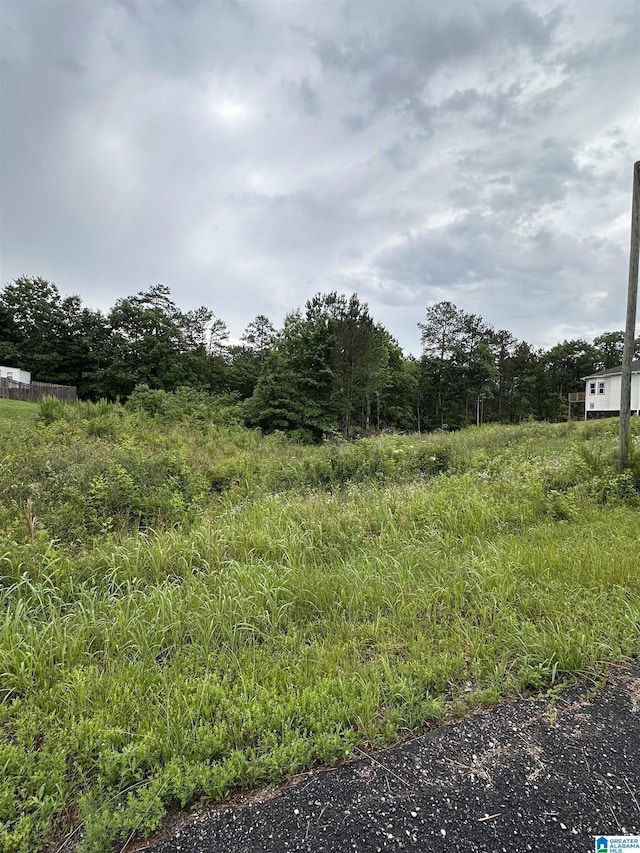 220 Virginia Way Unit 69, Odenville, AL 35004