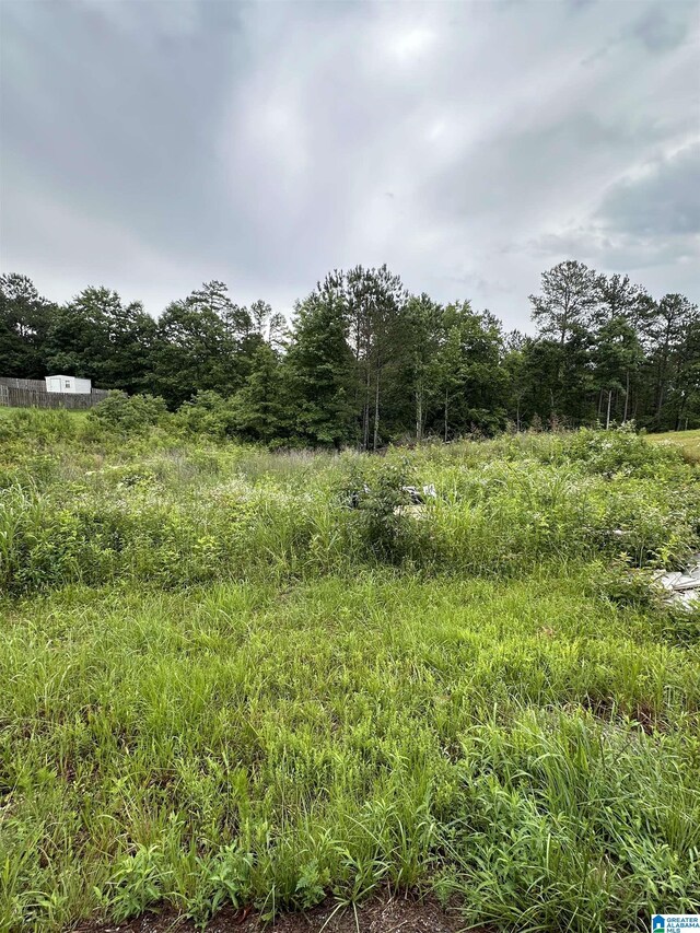 220 Virginia Way Unit 69, Odenville, AL 35004