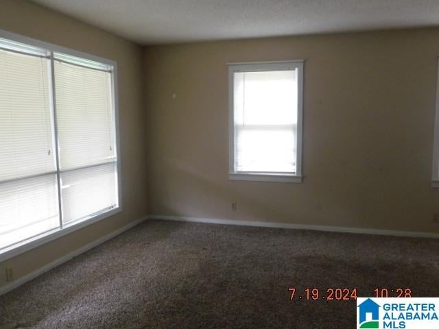 view of carpeted spare room