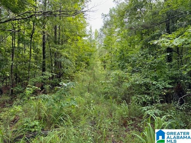 Listing photo 2 for County Road 79 Unit 70Ac, New Site AL 36256