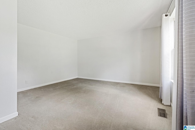 additional living space featuring carpet and a textured ceiling