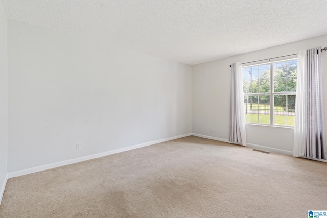 empty room with light colored carpet and a textured ceiling