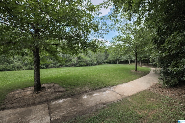 view of home's community with a yard