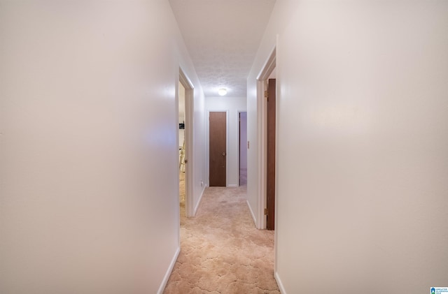 hall featuring light colored carpet