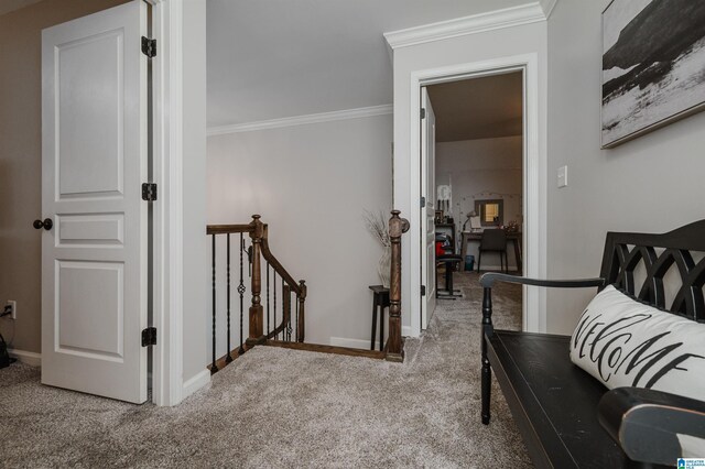 sitting room featuring crown molding and carpet