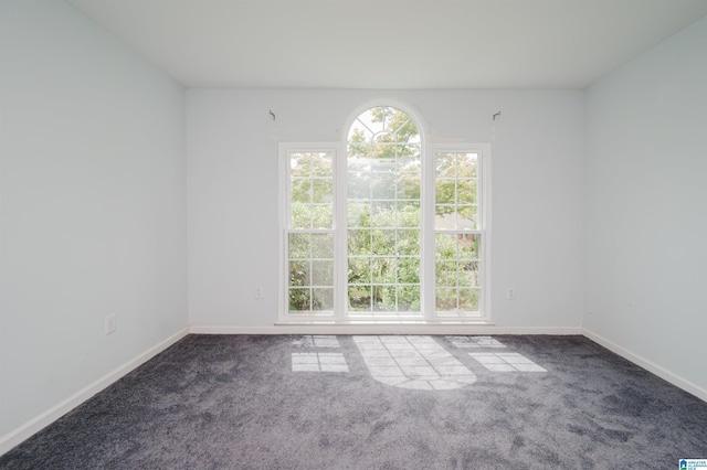 carpeted spare room with a healthy amount of sunlight