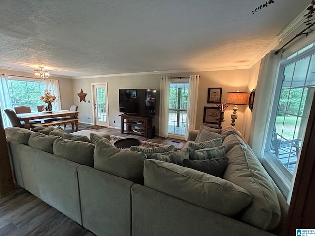 living area featuring dark wood-type flooring, a chandelier, a textured ceiling, and crown molding