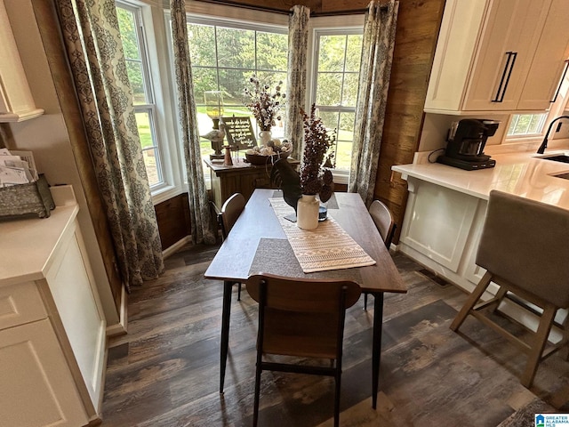 dining area featuring a wealth of natural light and dark wood-style flooring