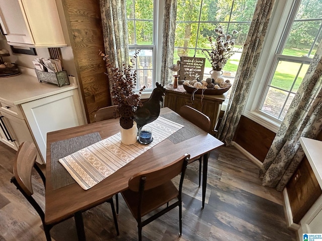 dining room featuring wood finished floors