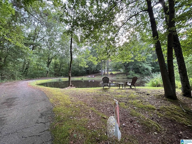 view of property's community