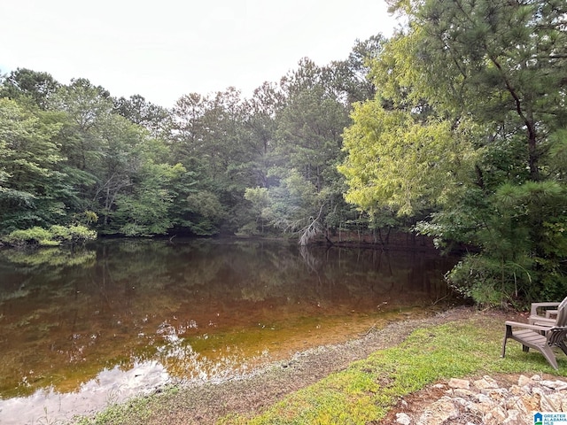 view of yard featuring a wooded view and a water view